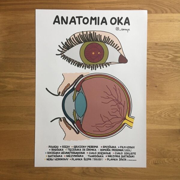 plakat o anatomii oka