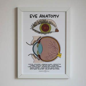 Plakat „Anatomia Oka”